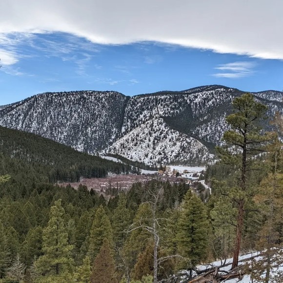 Meet your Posher, Mallory - Picture 1 of 1